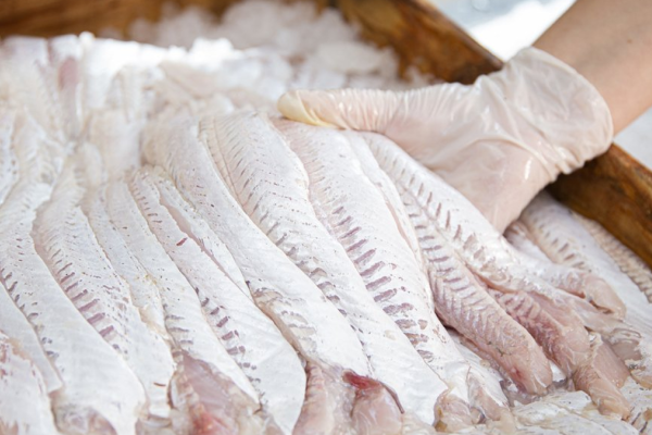 Combos de pescados en el Paseo Canto del Viento