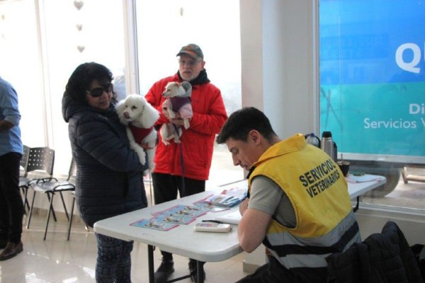 Este sábado se realizará una nueva jornada de castración en Río Grande