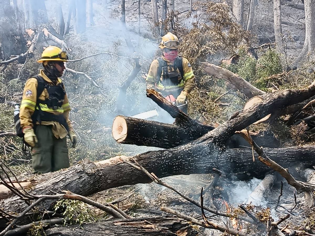 Tierra del Fuego envió brigadistas para combatir el incendio en el Parque Nacional Los Alerces