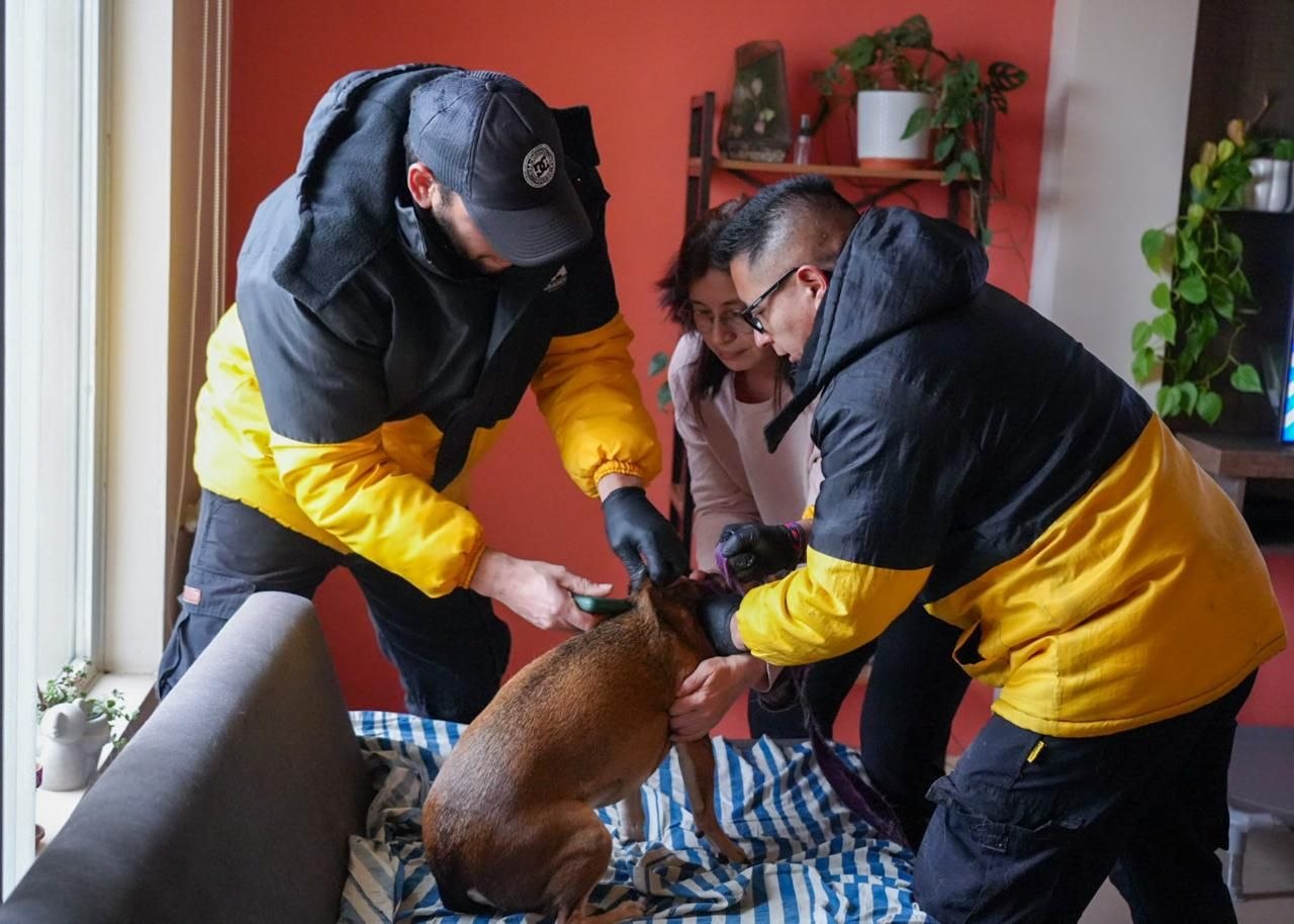 El Municipio fortalece el trabajo territorial de servicios veterinarios en los barrios