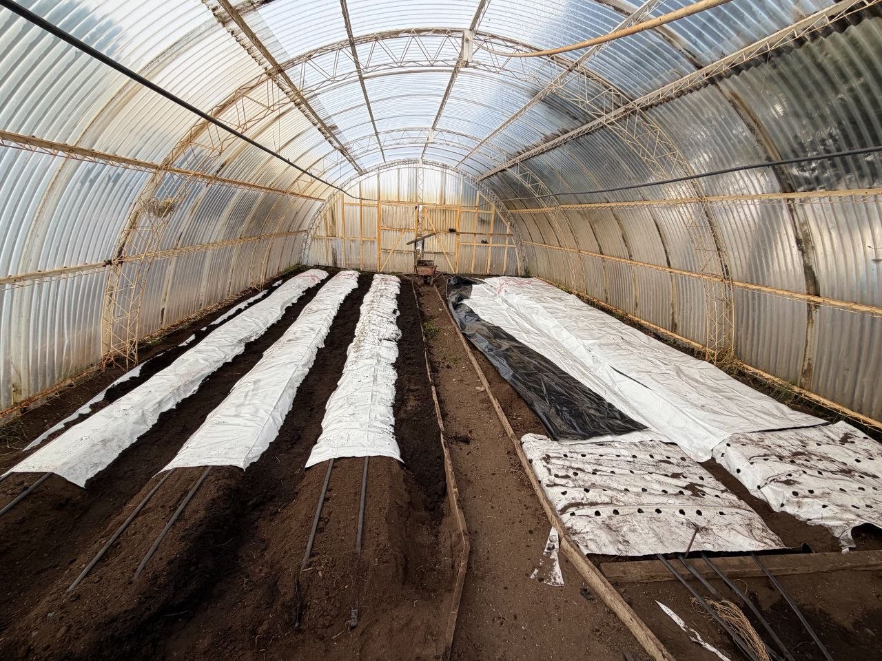 Río Grande avanzs en la puesta en marcha de la Chacra Agroexperimental «Germán Asencio»