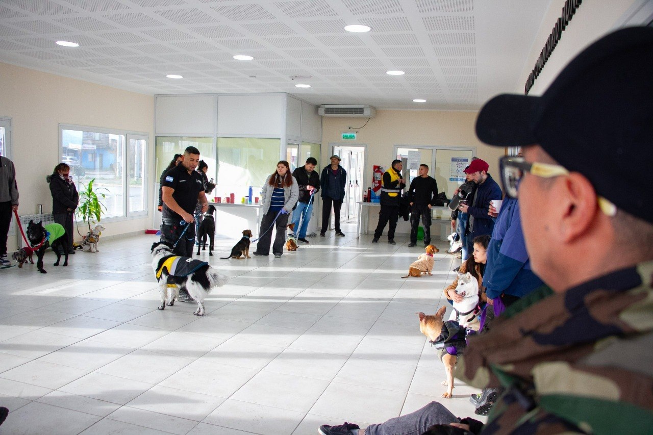 «Patitas Comunitarias»: una jornada para promover la tenencia responsable y el trabajo comunitario