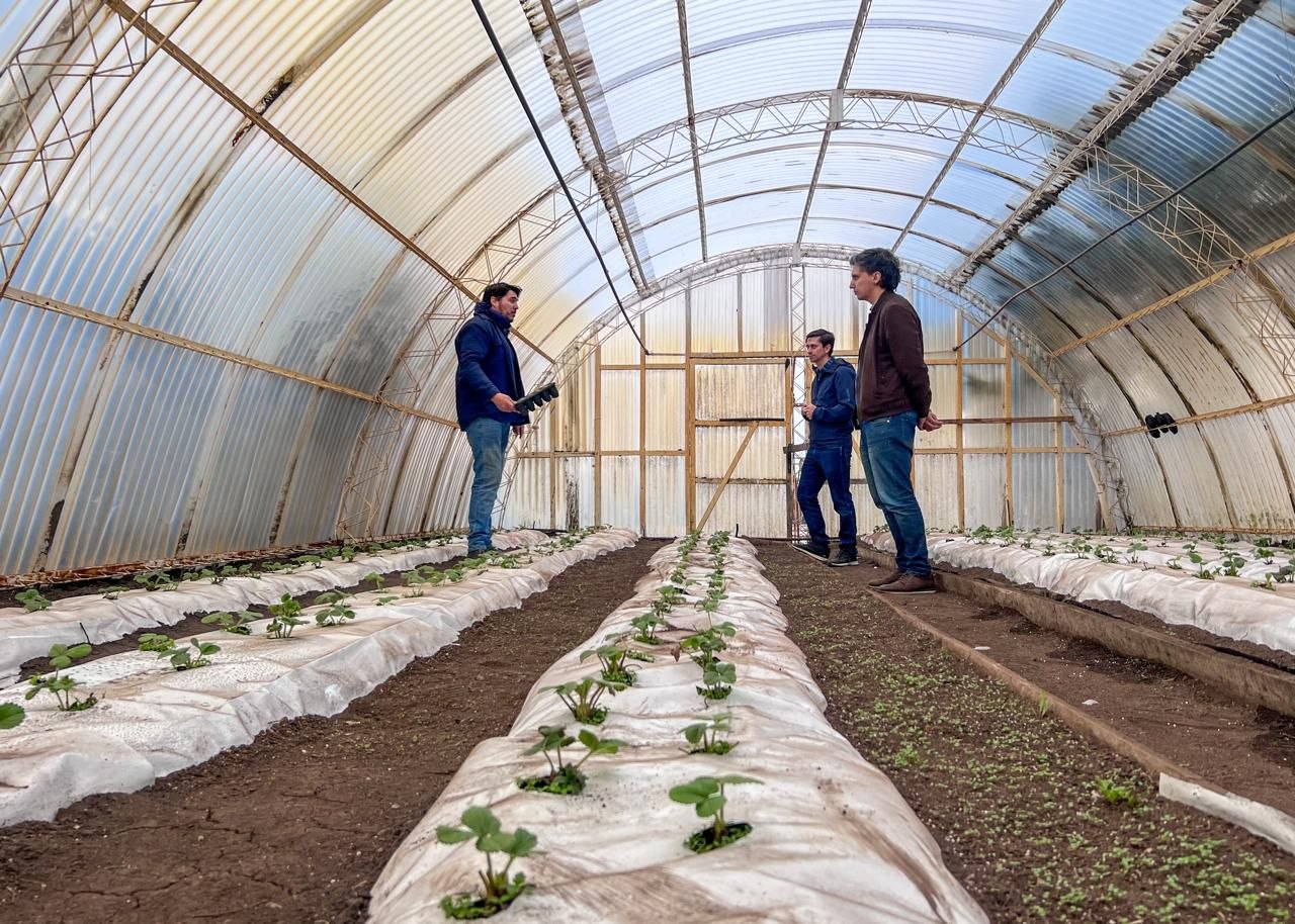 La Chacra Municipal Agroexperimental se potencia junto a Río Grande Activa