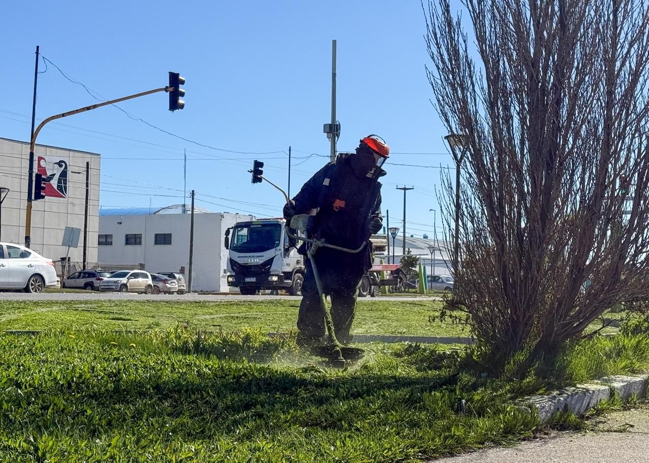 Río Grande se prepara para la temporada estival con tareas de embellecimiento urbano